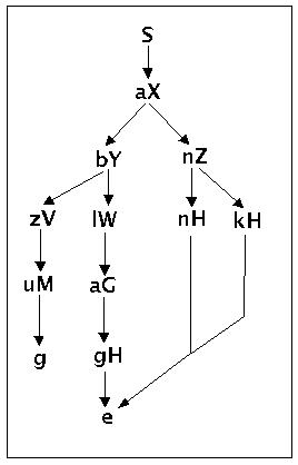 synbaumg4