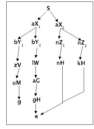 synbaum5