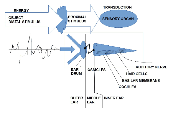 \includegraphics[scale=.85]{Hoeren.eps}