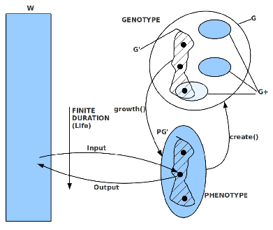 \includegraphics[scale=.85]{GAGeneralization2b.eps}