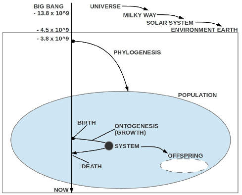 \includegraphics[scale=.85]{EvolutionaryContext.eps}