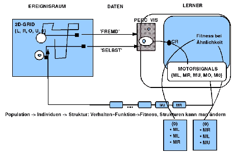 \includegraphics[width=4.0in]{LearnerBodySelf_4.0in.eps}