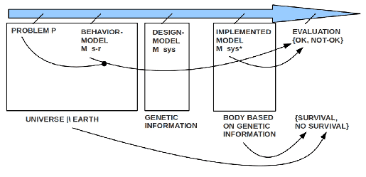 \includegraphics[width=4.5in]{EvolutionaryFrameworkMappedToengineeringFramework.eps}