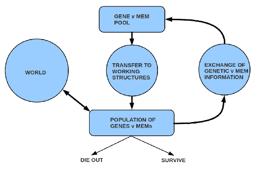 \includegraphics[width=4.5in]{EvolutionaryFrameworkGeneAndMem-PoolLoop.eps}