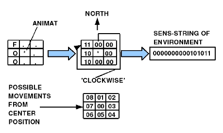 \includegraphics[width=4.0in]{env_wood1_detail.eps}