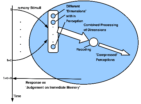 \includegraphics[width=4.0in]{miller_judgement_immediate_memory.eps}