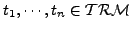 $t_{1}, \cdots, t_{n} \in \cal TRM$